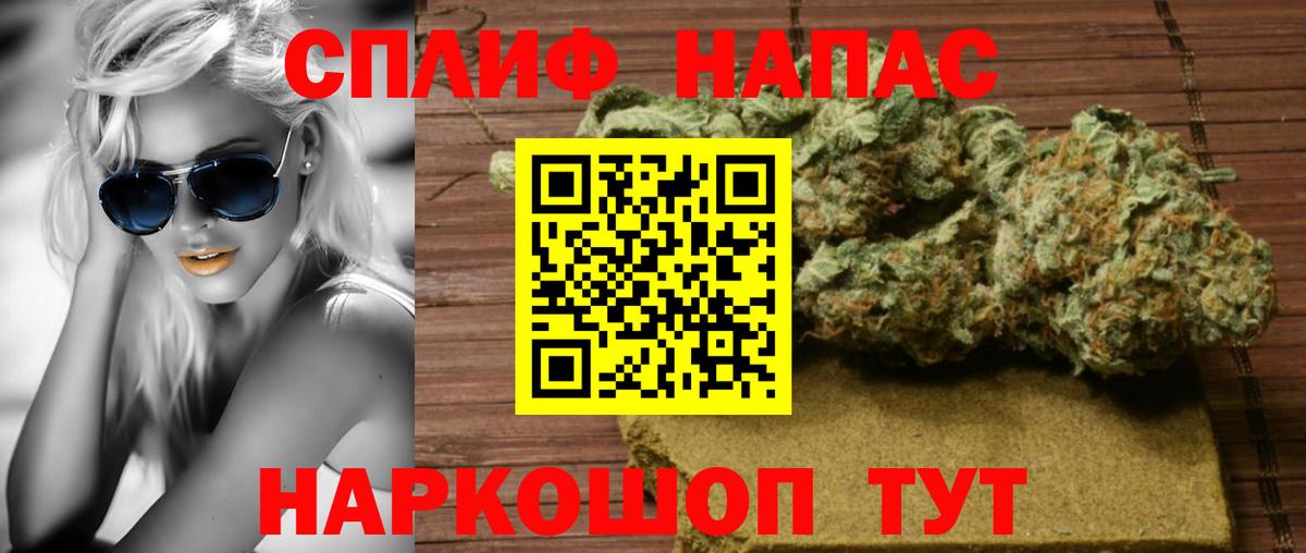 Конопля SATIVA & INDICA Муравленко